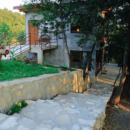 Bed and Breakfast Donkey Farm Martinici - Farma Magaraca Martinici Danilovgrad Exterior foto